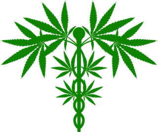 Marijuana California Peculiarities Employment Law Blog